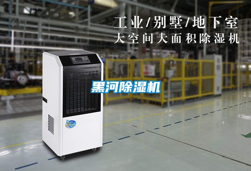 黑河精品一区二区三区水蜜桃