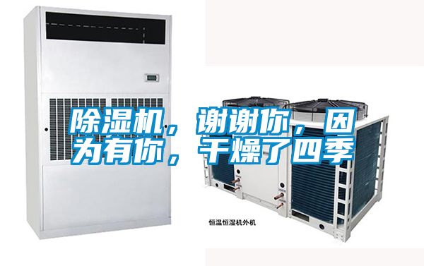 精品一区二区三区水蜜桃，谢谢你，因为有你，干燥了四季