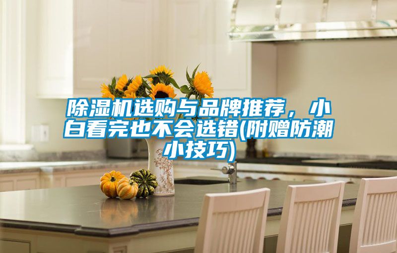 精品一区二区三区水蜜桃选购与品牌推荐，小白看完也不会选错(附赠防潮小技巧)