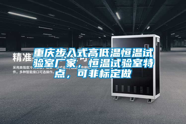 重庆步入式高低温恒温试验室厂家，恒温试验室特点，可非标定做