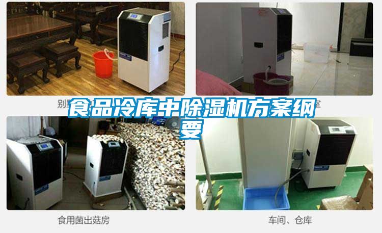 食品冷库中精品一区二区三区水蜜桃方案纲要