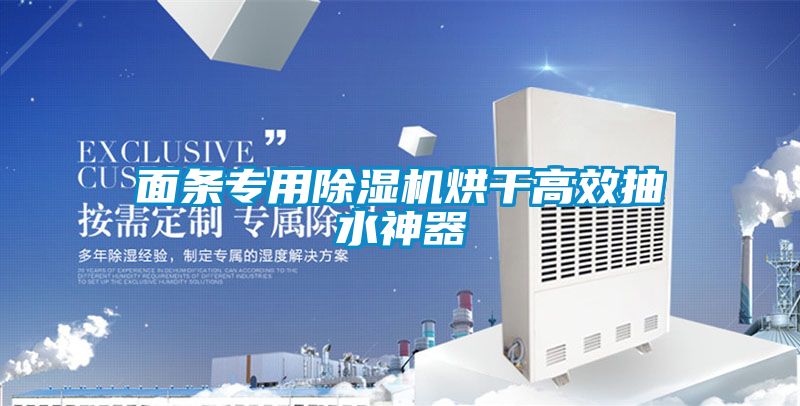 面条专用精品一区二区三区水蜜桃烘干高效抽水神器