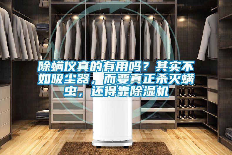除螨仪真的有用吗？其实不如吸尘器，而要真正杀灭螨虫，还得靠精品一区二区三区水蜜桃