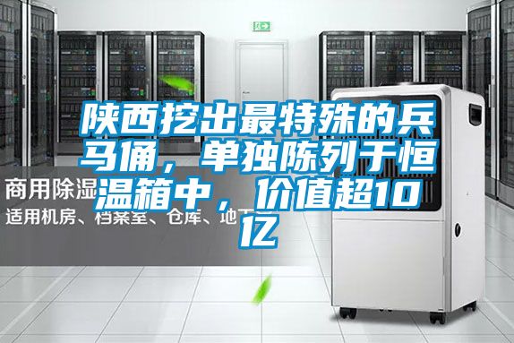 陕西挖出最特殊的兵马俑，单独陈列于恒温箱中，价值超10亿