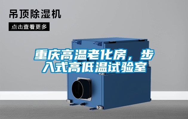 重庆高温老化房，步入式高低温试验室