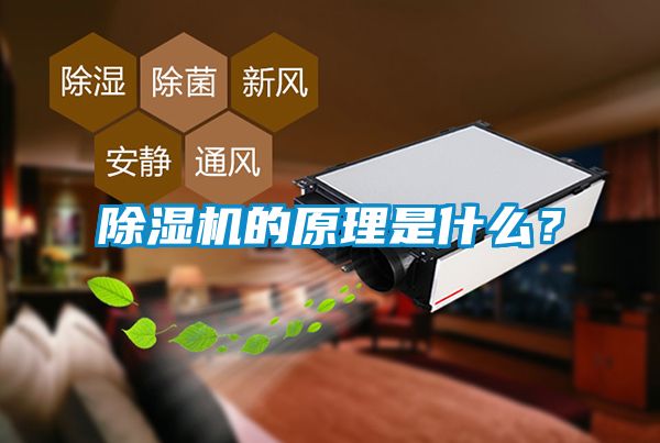 精品一区二区三区水蜜桃的原理是什么？