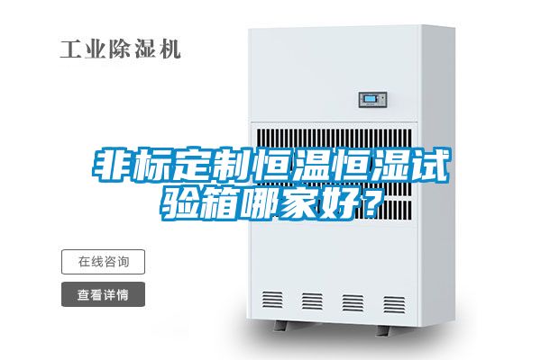 非标定制恒温恒湿试验箱哪家好？