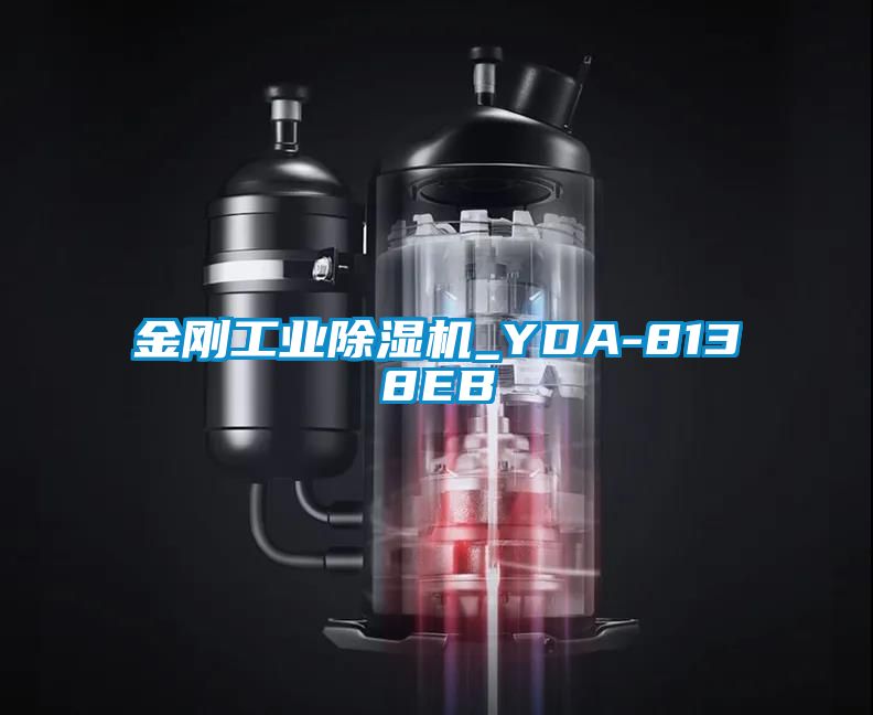 金刚工业精品一区二区三区水蜜桃_YDA-8138EB
