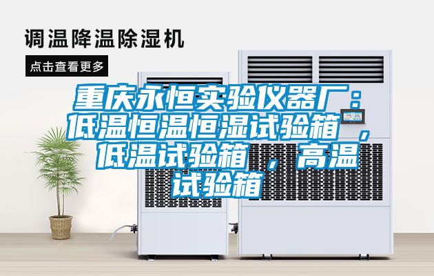 重庆永恒实验仪器厂：低温恒温恒湿试验箱 , 低温试验箱 , 高温试验箱