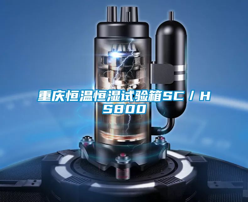 重庆恒温恒湿试验箱SC/HS800