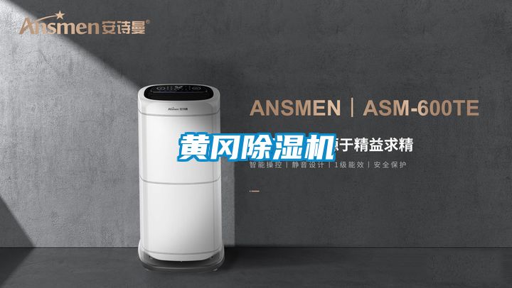 黄冈精品一区二区三区水蜜桃