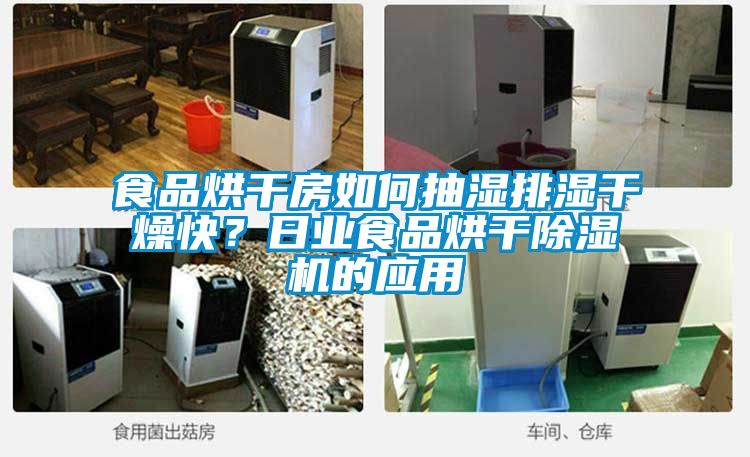 食品烘干房如何抽湿排湿干燥快？日业食品烘干精品一区二区三区水蜜桃的应用