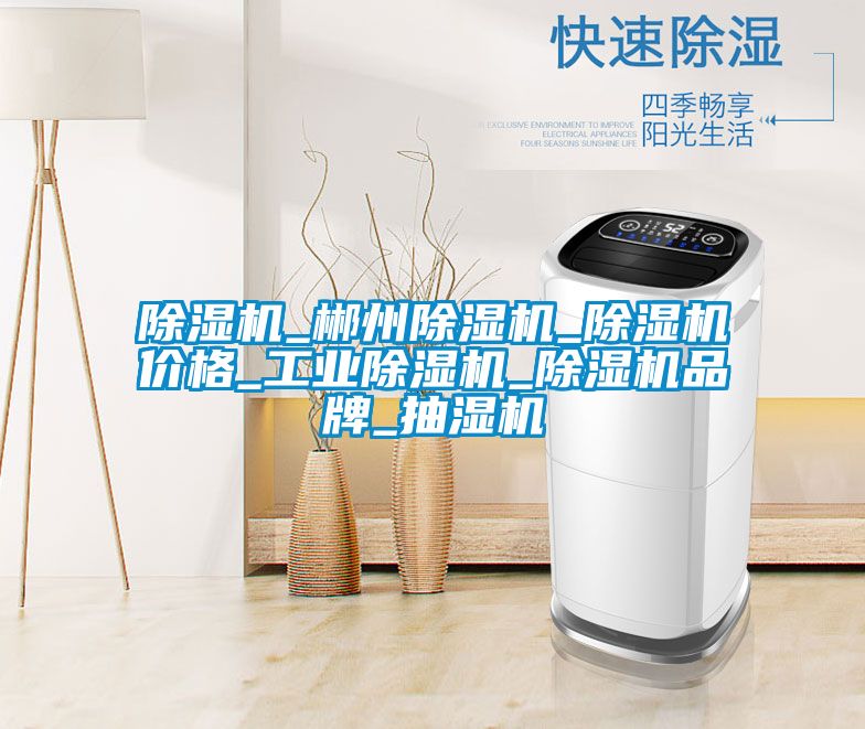 精品一区二区三区水蜜桃_郴州精品一区二区三区水蜜桃_精品一区二区三区水蜜桃价格_工业精品一区二区三区水蜜桃_精品一区二区三区水蜜桃品牌_抽湿机