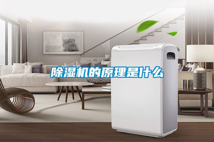 精品一区二区三区水蜜桃的原理是什么