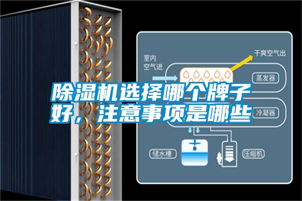 精品一区二区三区水蜜桃选择哪个牌子好，注意事项是哪些