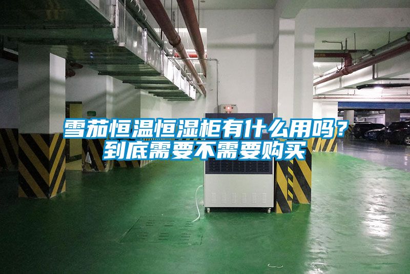 雪茄恒温恒湿柜有什么用吗？到底需要不需要购买