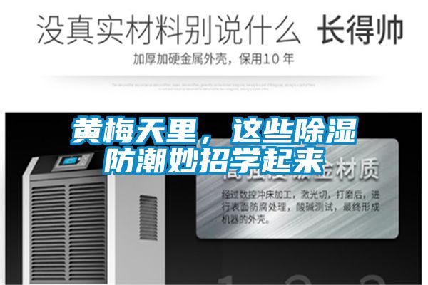 黄梅天里，这些除湿防潮妙招学起来