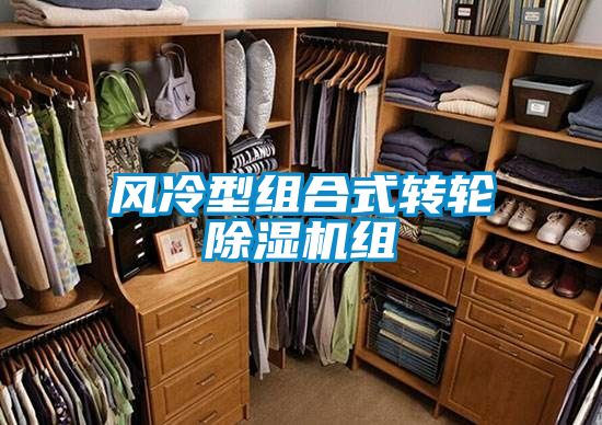 风冷型组合式转轮精品一区二区三区水蜜桃组