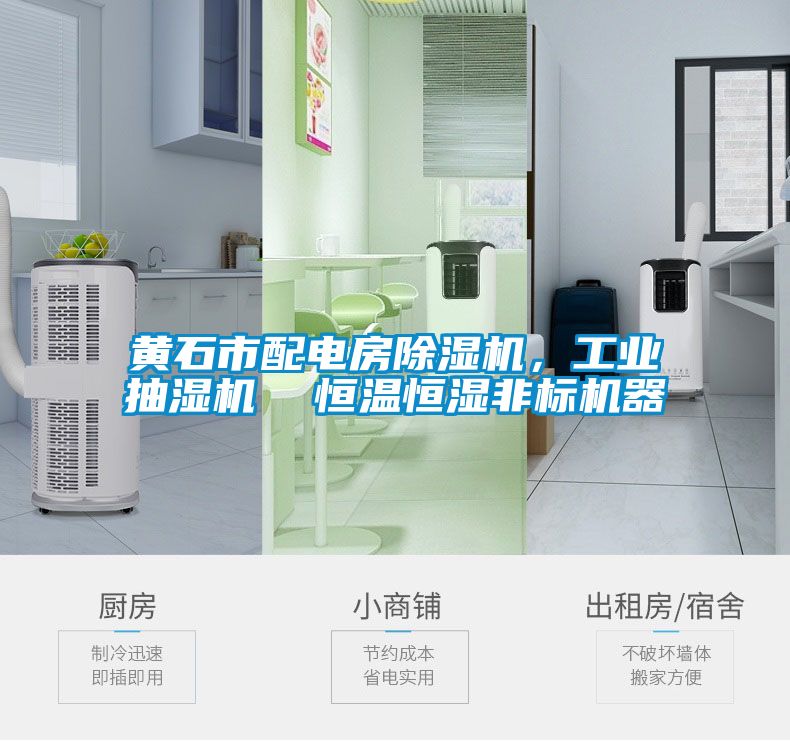 黄石市配电房精品一区二区三区水蜜桃，工业抽湿机  恒温恒湿非标机器