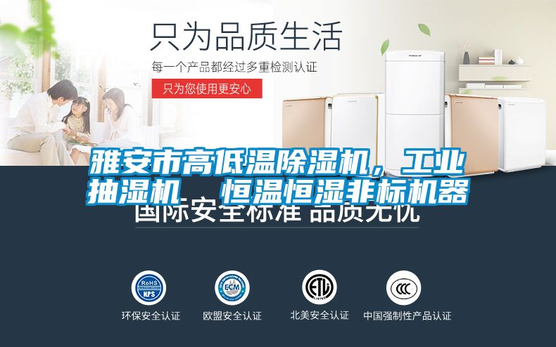 雅安市高低温精品一区二区三区水蜜桃，工业抽湿机  恒温恒湿非标机器