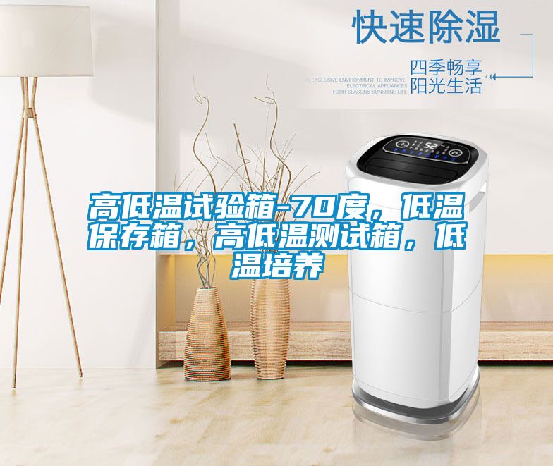 高低温试验箱-70度，低温保存箱，高低温测试箱，低温培养