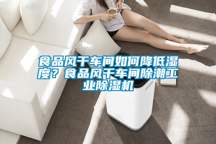 食品风干车间如何降低湿度？食品风干车间除潮工业精品一区二区三区水蜜桃