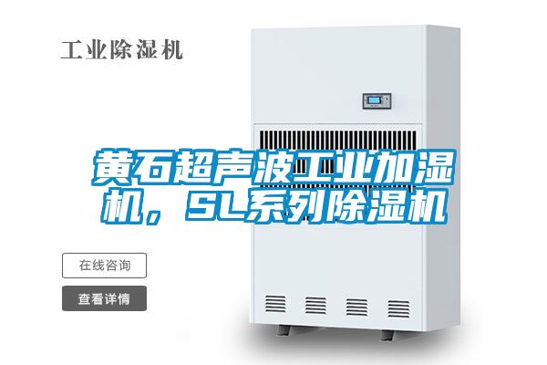 黄石超声波工业加湿机，SL系列精品一区二区三区水蜜桃