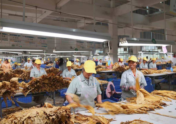 烟草行业加湿处理水蜜桃入口网页污