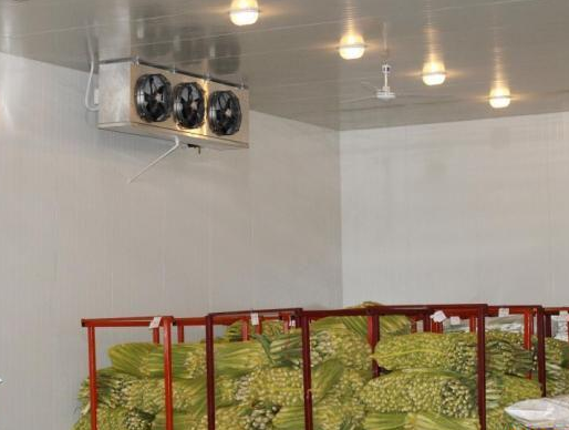 蔬果冷库加湿处理水蜜桃入口网页污