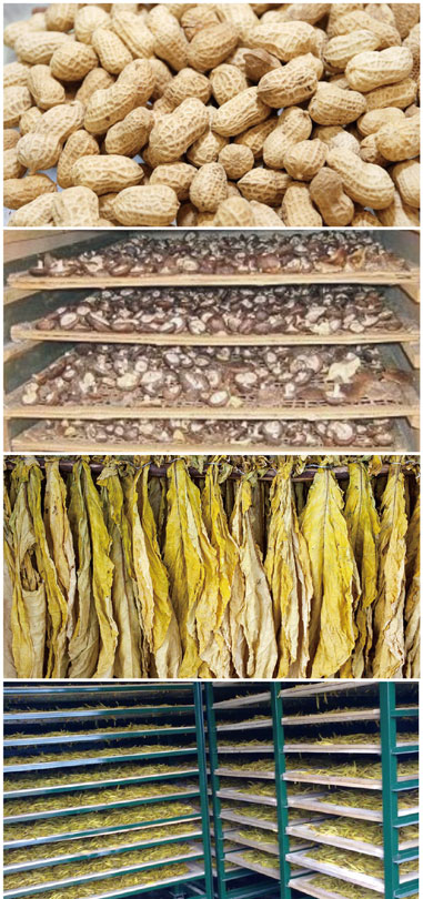 食用菌烘干处理水蜜桃入口网页污